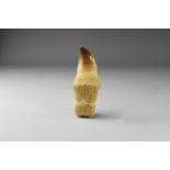 Fossil Mosasaurus Tooth