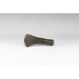 British Fossil Plesiosaur Paddle Bone