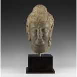 Gandharan Buddha Head