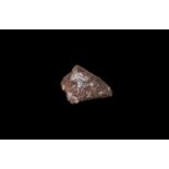 Natural History - Tindouf Fall Meteorite.