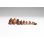 Sarcosuchus Tooth Group