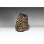 Woolly Mammoth Tooth