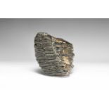 Woolly Mammoth Tooth