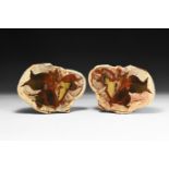 Australian Agate Creek Cut 'Thunder Egg' Pair