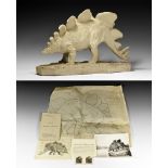 Stegosaurus Dinosaur Model and Sketches