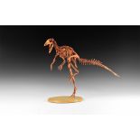 Natural History - Jeholosaurus Skeleton Replica