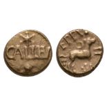 Atrebates & Regni - CALLEV Daisy Gold Qtr Stater