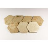 Natural History - Polished Stone Coaster Group