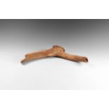 Natural History - Fossil Red Deer Antler