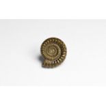 Natural History - British Pyritised Ammonite Fossil