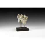 Natural History - Mastodon Tooth