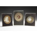 Natural History Variegated Agate Slice Display Group