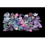 Natural History - 48 Cut & Polished Geodes