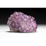 Natural History - Amethyst Cluster Mineral Specimen