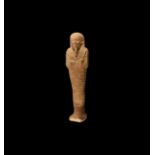 Egyptian Dark Green Hieroglyphic Shabti