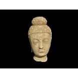 Gandharan Stucco Head of Buddha