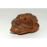 Carved hard wood nestsuke of a toad