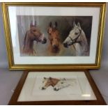 Picture of the '3 Kings' Dessert orchid ,Arkle and Red Rum by S L Crawford and another