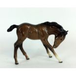 Beswick Foal