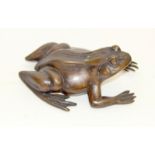 Bronze frog