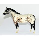 Beswick Appaloosa stallion. 21 x 23cm