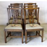 6 Georgian oak country chairs with drop in seats