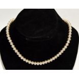 Ladies string pearl necklace