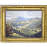 W D Richards 'Lough Dan' Oil on canvas. signed. Set in original frame. 93x 124cm