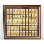 Framed collection of Players cigarette cards depicting Guardsmen