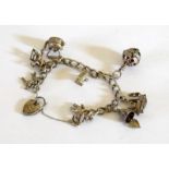 Ladies Silver charm bracelet and 8 charms