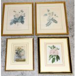 4 Framed Botanical prints