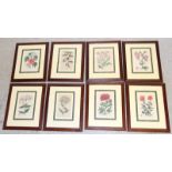 8 Botanical prints. 43 x 34cm