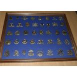 A professionally mounted collection of 40 military cap badges. Frame size 53cms x 43cms