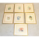 7 Framed Botanical Prints