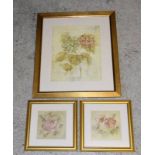 3 Botanical prints. 75 x 64cm