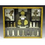 A mid-20th century German educational display case showing the growth and elements of the potato,