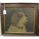 D.E. Duttson? - Study of a Spaniel, oil on canvas, signed and dated 1909, 28.5cm x 33.5cm, within an