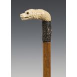 A late 19th century ivory handled Malacca walking stick, the handle carved in the form of a dog's