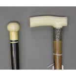 An Edwardian ivory handled Malacca walking stick with a foliate decorated silver collar, Chester