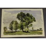 Ronald Birch - 'Trees at Lacock', watercolour, signed, titled and dated 1974, 38cm x 56cm,