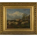 Stanley Cooper - Sheep within a Landscape, 19th century oil on canvas, signed, 36cm x 46cm, within a