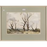 Edward Wesson - Landscape with Trees, watercolour, signed, 32cm x 50cm, within a white painted