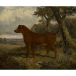 James Clark - Study of a Dog in a Landscape, 19th century oil on canvas, signed, 50cm x 60cm, within