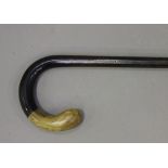 A late 19th century hardwood walking stick, the curved handle with a rounded rhino horn end,