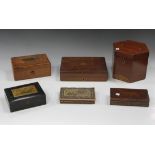 A collection of various 19th century and later boxes, including a mahogany concertina box, a
