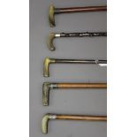 A group of five mainly late 19th century horn handled walking sticks, some possibly rhino horn,