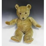 A mohair hump back teddy bear with amber and black eyes, moulded resin nose, stitched mouth and