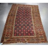 A Shirvan rug, South-east Caucasus, late 19th/early 20th century, the midnight blue field with an