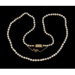 A single row necklace of one hundred and eleven graduated natural saltwater pearls, on a rectangular