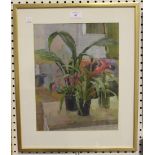 Robin Delaney - 'Still Life with Plants', oil on paper, labels verso, 35.5cm x 27cm.Buyer’s